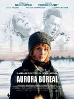 Cartel de Aurora boreal
