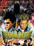 Cartel de Dead or Alive 3: Final