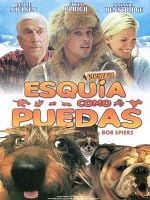 Cartel de Esquía como puedas