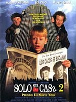 Cartel de Solo en casa 2: Perdido en Nueva York