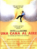 Cartel de Una cana al aire