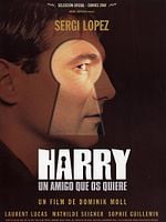 Cartel de Harry, un amigo que os quiere