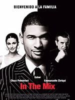 Cartel de In The Mix