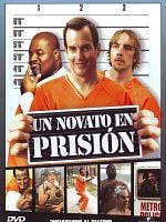 Cartel de Un novato en prisión