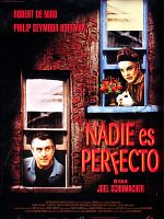 Cartel de Nadie es perfecto