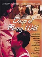 Cartel de Days of Being Wild (Días Salvajes)