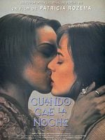 Cartel de Cuando cae la noche