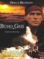 Cartel de Búho Gris