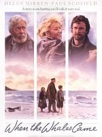 Cartel de Cuando vuelvan las ballenas