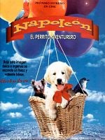 Cartel de Napoleón, el perrito aventurero