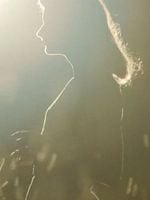 Cartel de Lightfields