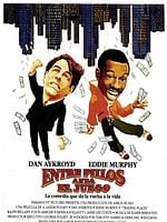 Cartel de Entre pillos anda el juego