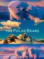 Cartel de The Polar Bears