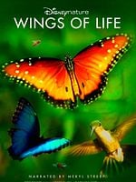 Cartel de Disneynature: Wings of Life