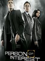 imagen de Vigilados: Person of Interest