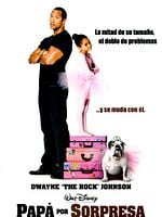 Cartel de Papá por sorpresa