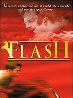 Cartel de Flash