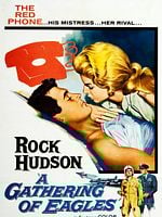 Cartel de Nido de águilas