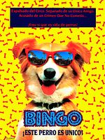 Cartel de Bingo