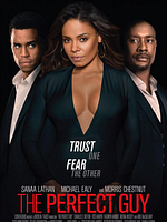 Cartel de El chico ideal