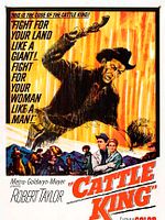 Cartel de Pistolas en la frontera