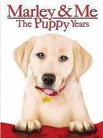 Cartel de Una pareja de tres: Los años cachorros