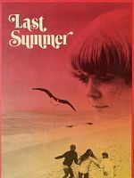 Cartel de El verano pasado