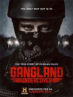 imagen de Gangland Undercover