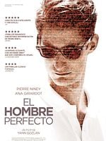 Cartel de El hombre perfecto
