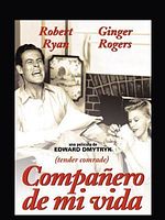 Cartel de Compañero de mi vida