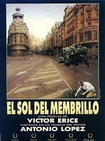 Cartel de El sol del membrillo