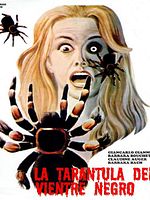 Cartel de La tarántula del vientre negro