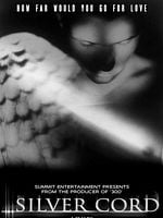 Cartel de Silver Cord