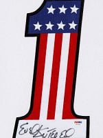 Cartel de Evel Knievel