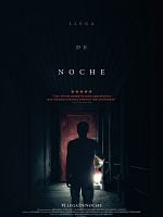 Cartel de Llega de noche