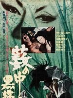 Cartel de El gato negro