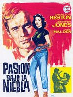 Cartel de Pasión bajo la niebla