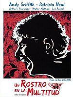 Cartel de Un rostro en la multitud