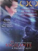 Cartel de El vigilante