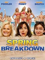 Cartel de Desmadre vacacional