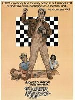 Cartel de Un loco al volante