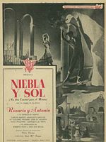 Cartel de Niebla y sol