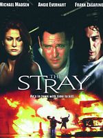 Cartel de Siniestra amistad