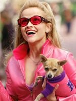 Cartel de Legally Blonde 3