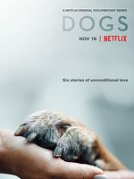 imagen de Amigos caninos