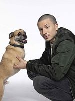 imagen de Los paseos de Bruno