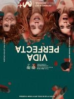 imagen de Vida perfecta