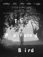 Cartel de El pájaro pintado