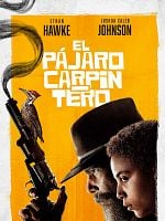 imagen de El pájaro carpintero