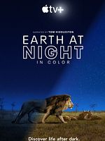 imagen de Planeta nocturno: a todo color